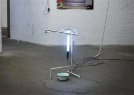 Zuh © Adrian Lohmüller