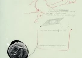 Image © Adrian Lohmüller