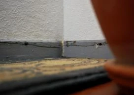 böse böse © Adrian Lohmüller